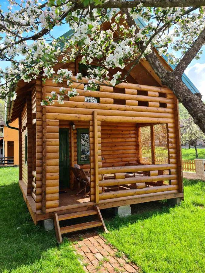 Guest House Green Garden Mojkovac Luaran gambar