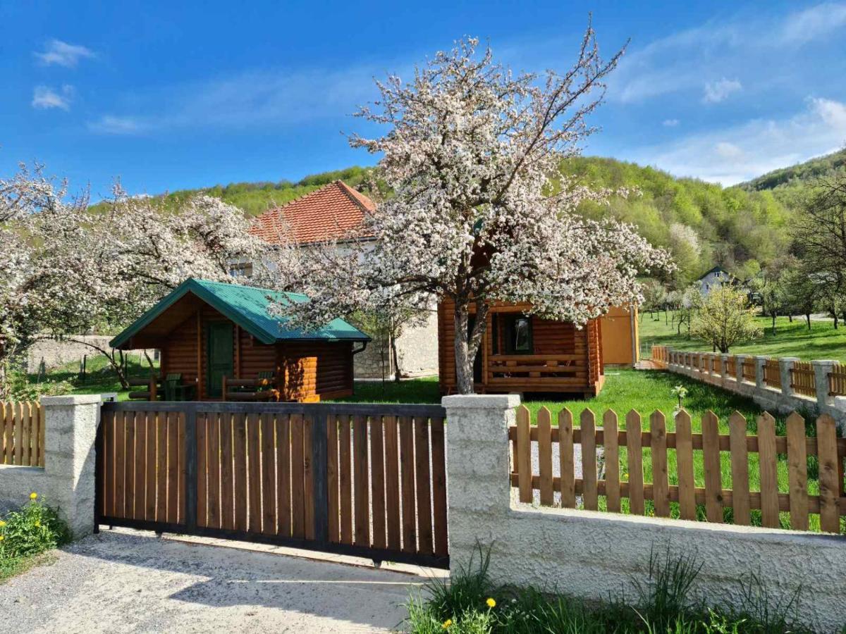 Guest House Green Garden Mojkovac Luaran gambar