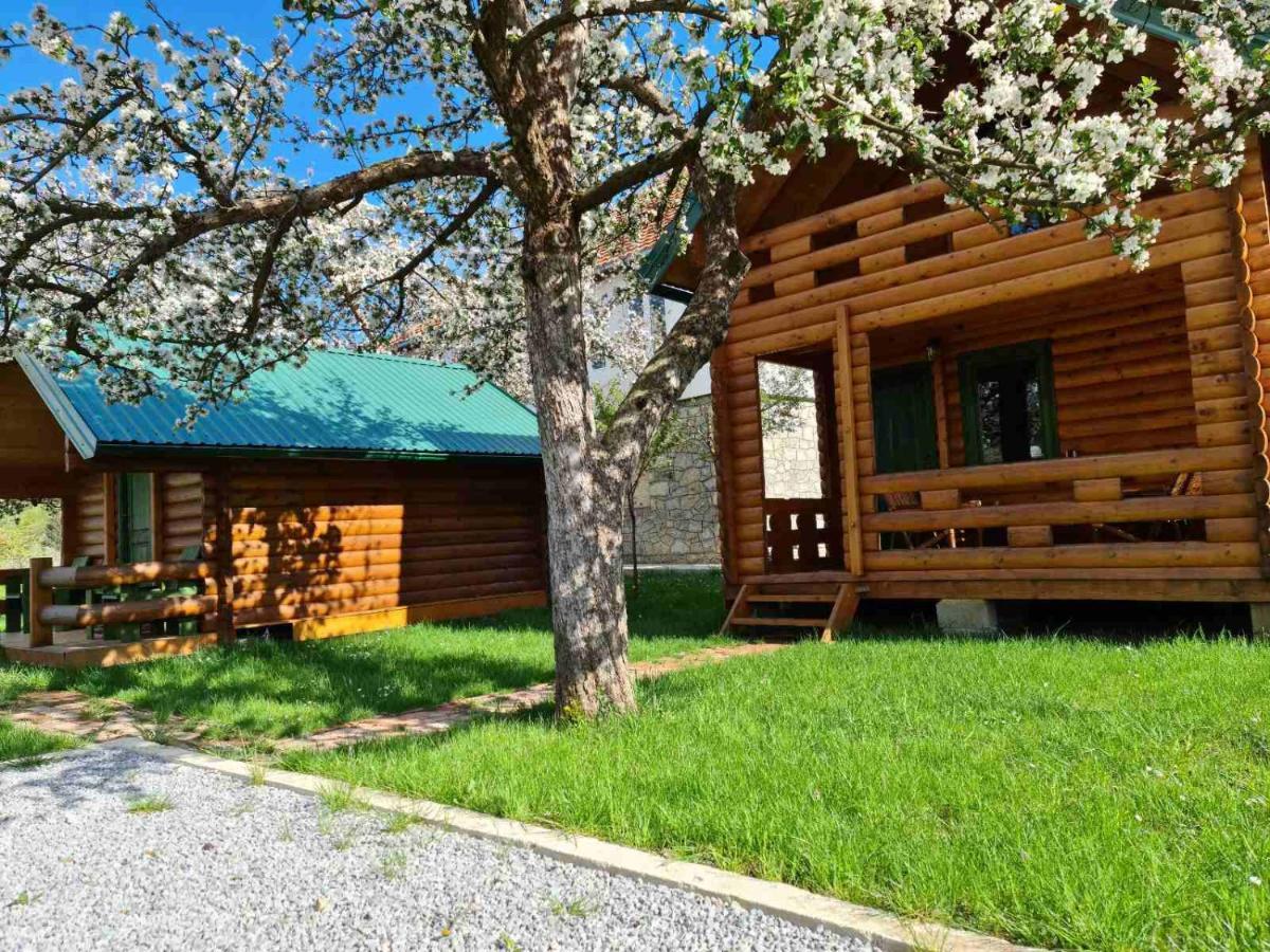 Guest House Green Garden Mojkovac Luaran gambar