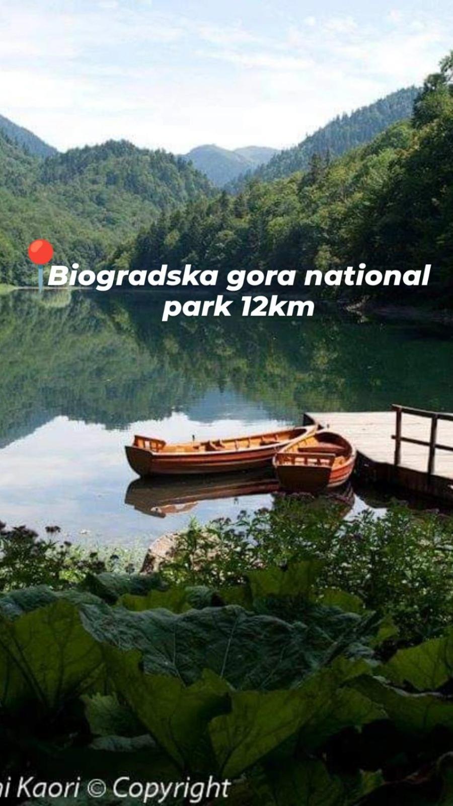 Guest House Green Garden Mojkovac Luaran gambar